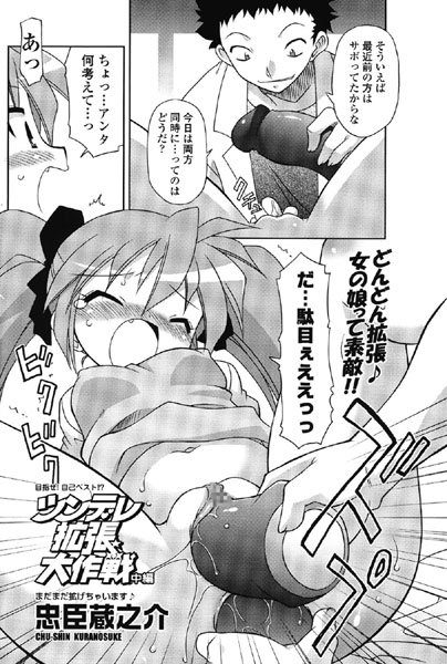 ツンデレ拡張大作戦 中編