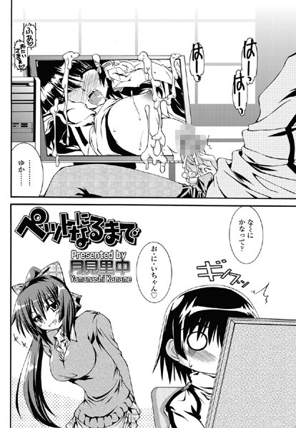 ペットになるまで
