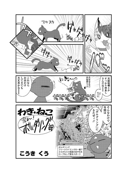 わき☆ねこ（18）