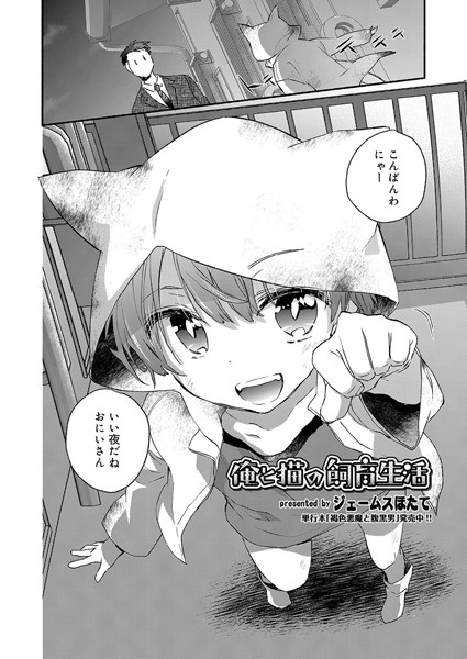 俺と猫の飼育生活