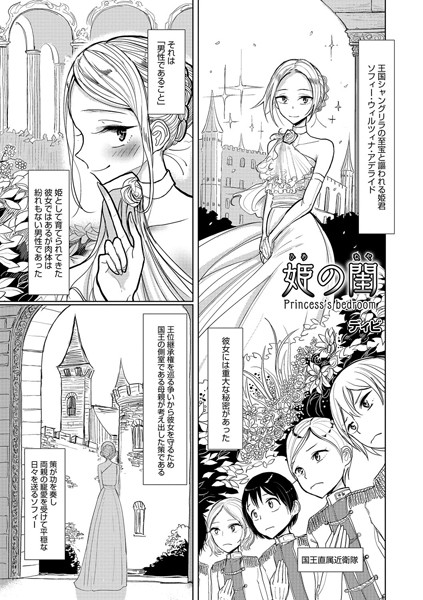姫の閨（単話）