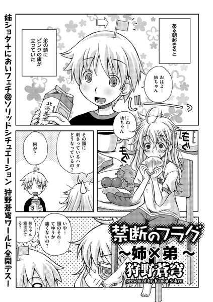 禁断のフラグ〜姉×弟〜（1）