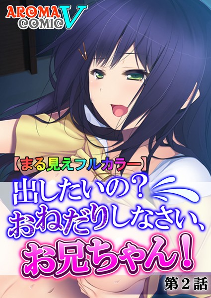 【まる見えフルカラー】出したいの？おねだりしなさい、お兄ちゃん！ 2