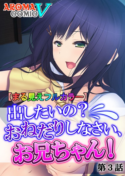 【まる見えフルカラー】出したいの？おねだりしなさい、お兄ちゃん！ 3