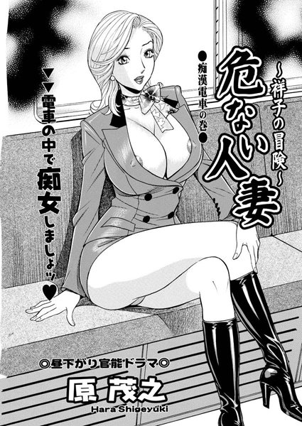 危ない人妻・祥子の冒険（2）