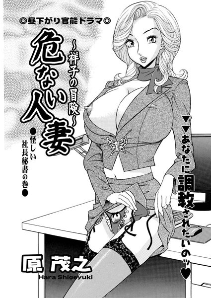 危ない人妻・祥子の冒険（4）