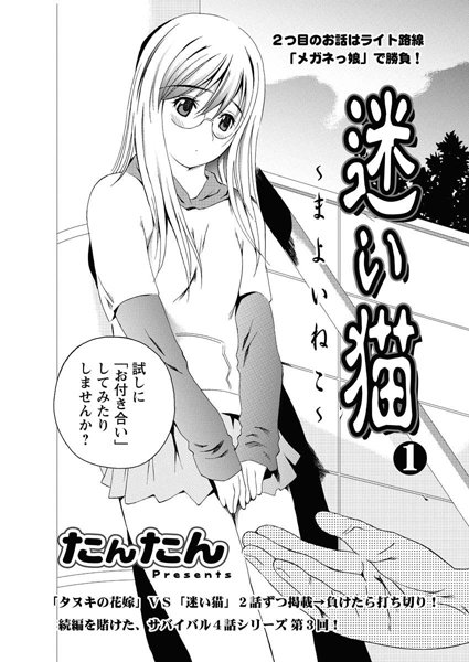 迷い猫（1）
