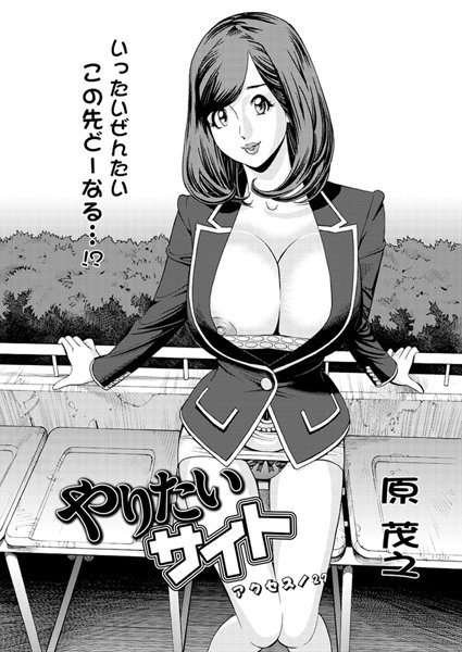 やりたいサイト（27）
