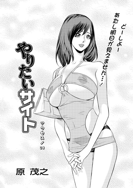 やりたいサイト（28）