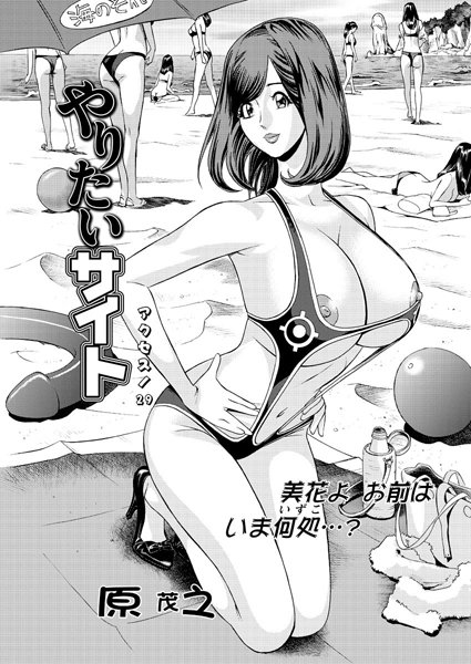 やりたいサイト（29）