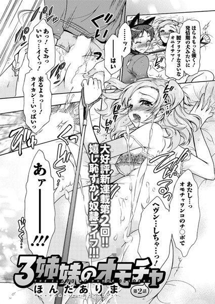 3姉妹のオモチャ （2）