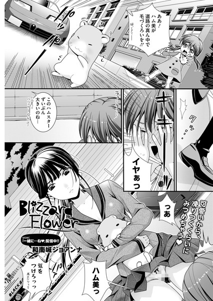 Blizzard Flower（単話）