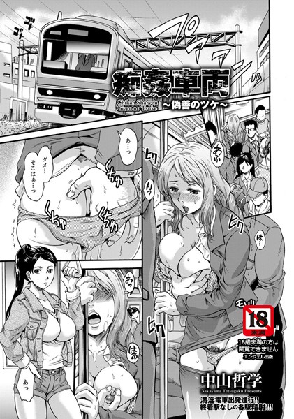 痴姦車両 〜偽善のツケ〜【単話】（単話）