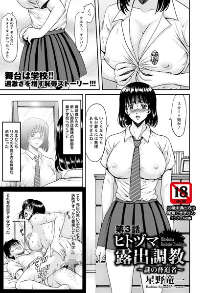 ヒトヅマ露出調教 〜謎の脅迫者〜 第3話【単話】