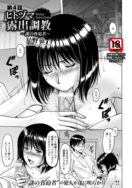 ヒトヅマ露出調教 〜謎の脅迫者〜 第4話【単話】