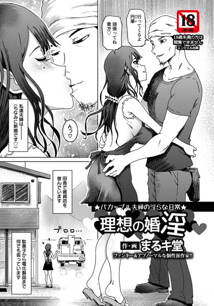 理想の婚淫【単話】