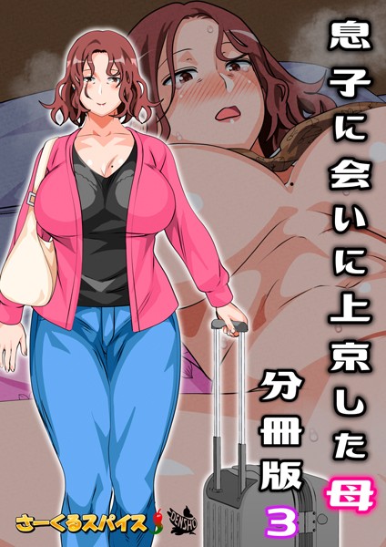 息子に会いに上京した母 分冊版3