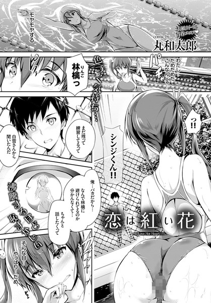 恋は紅い花（単話）