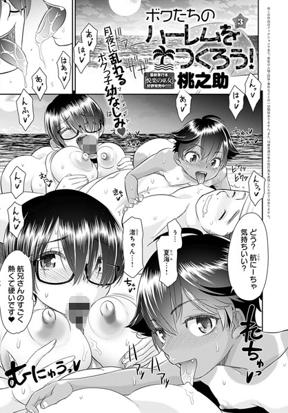 ボクたちのハーレムをつくろう！ （3）