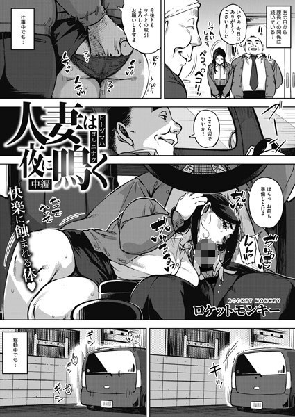 人妻は夜に鳴く 中編