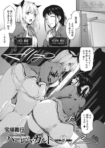 ハーレム・カルト 9:破滅に向かって