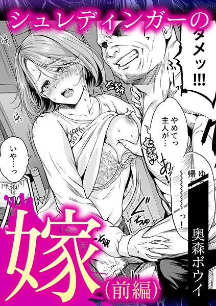 シュレティンガーの嫁（前編）